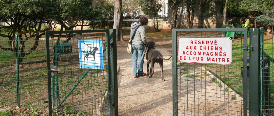 Un parc spécialement aménagé pour les chiens vient d'ouvrir à Oye