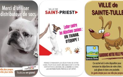 Affiches de déjections canines : exemples et bonnes pratiques