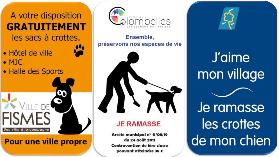 affiches-de-d-jections-canines-exemples-et-bonnes-pratiques-animo